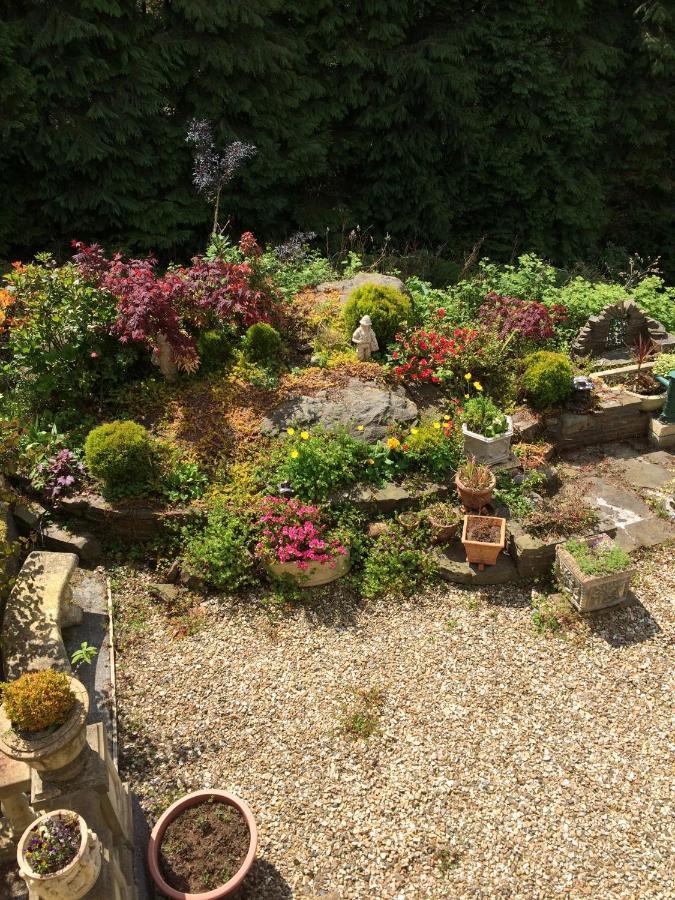 Rowan House Bed Breakfast Main House & Self Contained Self Catering Apartment Cymmer Dış mekan fotoğraf